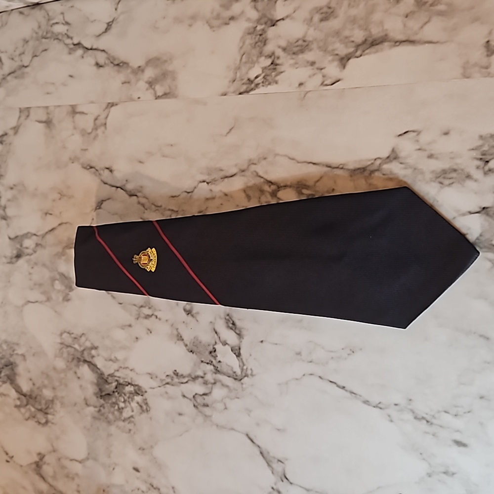 Eskay mens neck tie